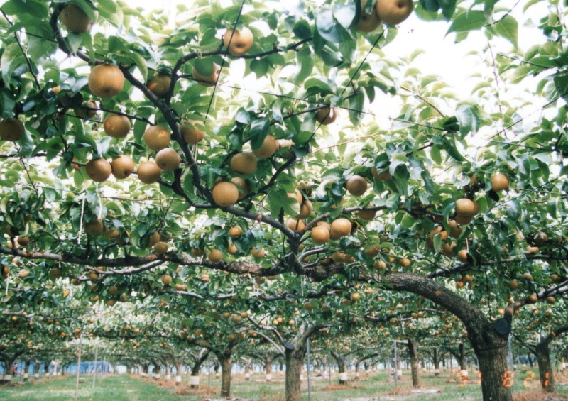 間々田,ままだ,ままだ街ナビ,ままだ街なび,間々田街ナビ,間々田街なび,間々田駅,情報サイト,小山市,栃木県