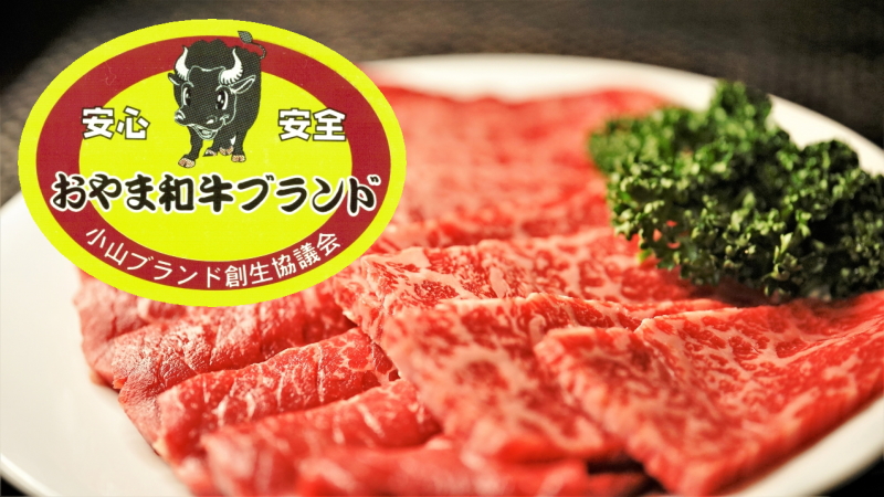 間々田,ままだ,ままだ街ナビ,ままだ街なび,間々田街ナビ,間々田街なび,間々田駅,情報サイト,小山市,栃木県