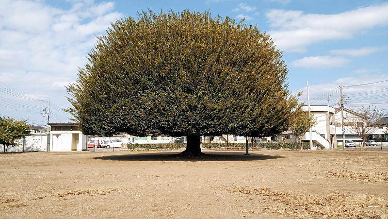 間々田,ままだ,ままだ街ナビ,ままだ街なび,間々田街ナビ,間々田街なび,間々田駅,情報サイト,小山市,栃木県